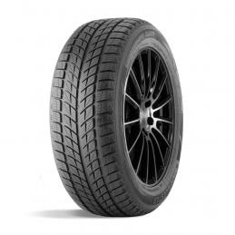 Doublestar Winterking DW09 255/50R19 107T